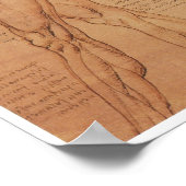 Surface Anatomy of the Lower Extremity, Da Vinci Poster (Hoek)