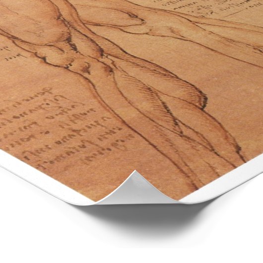 Surface Anatomy of the Lower Extremity, Da Vinci Poster (Hoek)