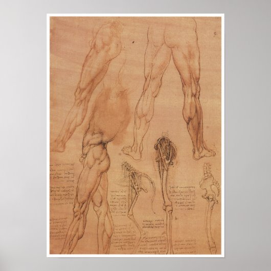 Surface Anatomy of the Lower Extremity, Da Vinci Poster (Voorkant)