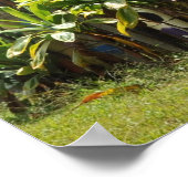 Surfboard Fence Maui, HI Poster (Hoek)