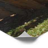 Surfboard Fence Maui, HI Poster (Hoek)