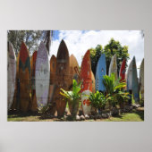Surfboard Fence Maui, HI Poster (Voorkant)
