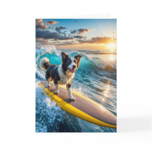Surfen Border Collie