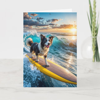 Surfen Border Collie Kaart