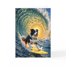 Surfen Border Collie