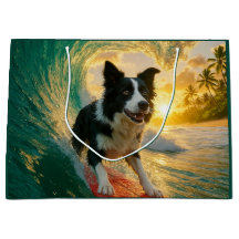 Surfen op Border Collie