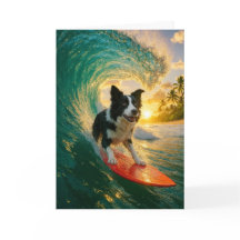 Surfen op Border Collie