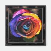 Surfen op de Rainbow Roos Magnet (Voorkant)