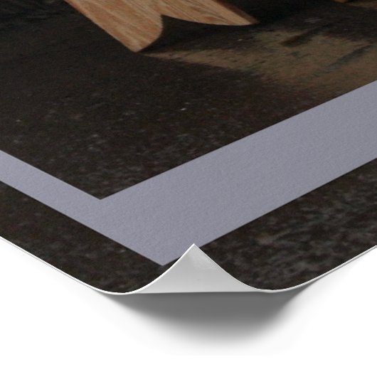 surfen poster (Hoek)