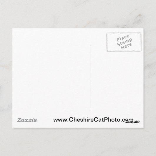 Surfen Santa Cruz California Producten Briefkaart (Achterkant)