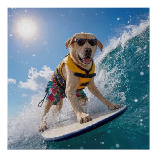 Surfende Labrador Retriever Perfect Poster (Voorkant)