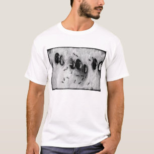 surfende mieren t-shirt