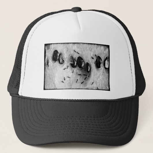 surfende mieren trucker pet (Voorkant)