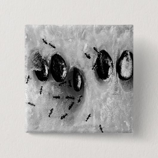 surfende mieren vierkante button 5,1 cm (Voorkant)