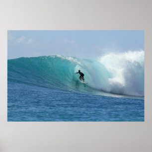 Surfende Poster