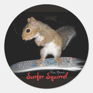Surfer eekhoorn ronde sticker