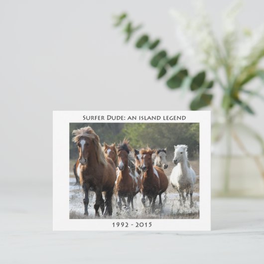 Surfer en zijn band briefkaart (Staand voorkant)