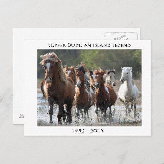 Surfer en zijn band briefkaart (Voorkant / Achterkant)