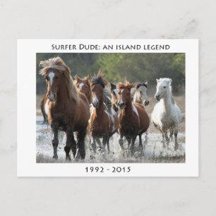 Surfer en zijn band briefkaart