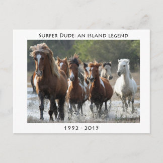 Surfer en zijn band briefkaart