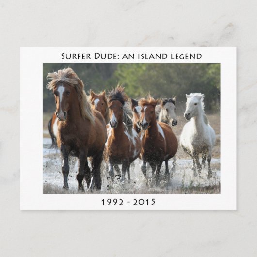 Surfer en zijn band briefkaart (Voorkant)