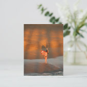 Surfer Girl Briefkaart (Staand voorkant)