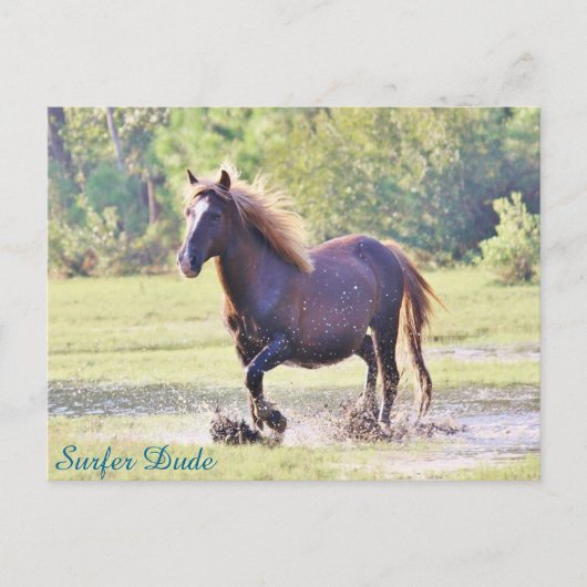 Surfer guy Wading Briefkaart (Voorkant)