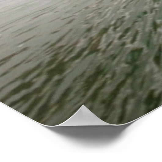 Surfer Poster (Hoek)