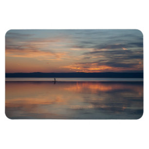 Surfer-roeiing naar de kust magneet