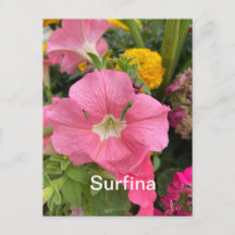 Surfina Briefkaart