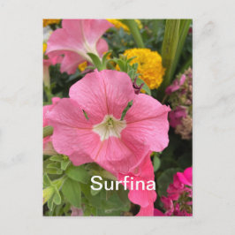 Surfina Briefkaart