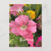Surfina Briefkaart (Voorkant)