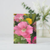 Surfina Briefkaart (Staand voorkant)