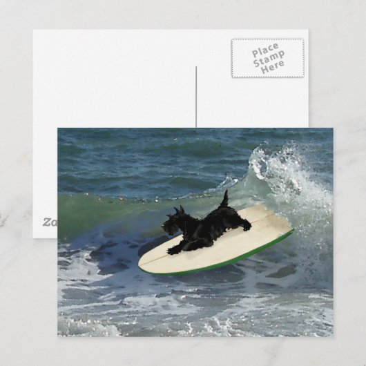 Surfing Scottish Terrier Briefkaart (Voorkant / Achterkant)