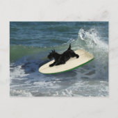 Surfing Scottish Terrier Briefkaart (Voorkant)