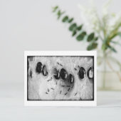 surfmieren briefkaart (Staand voorkant)