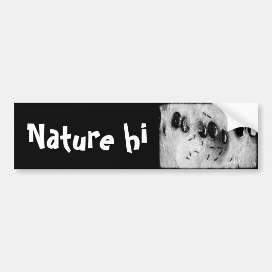 surfmieren bumpersticker (Voorkant)