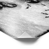 surfmieren foto afdruk (Hoek)