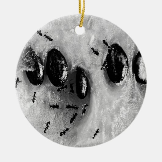 surfmieren keramisch ornament (Voorkant)