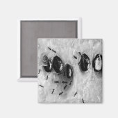 surfmieren magneet (Voorkant / Achterkant)