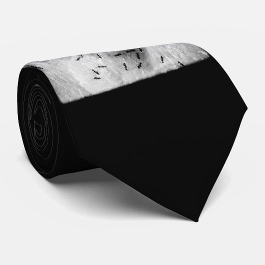 surfmieren stropdas (Opgerold)