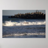 Surfplank in het Waves Poster (Voorkant)