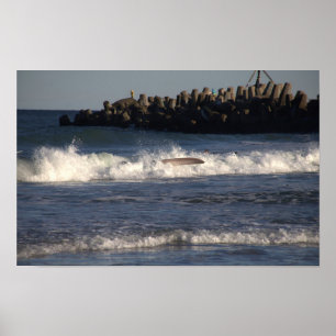 Surfplank in het Waves Poster