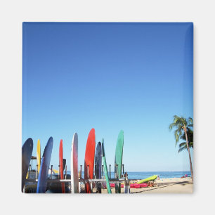 Surfplank Magneet