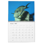 Surgeonfishes Wall Calendar van J.W. Fatherree. Kalender (Jan 2027)