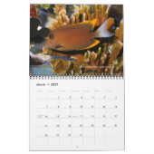 Surgeonfishes Wall Calendar van J.W. Fatherree. Kalender (Mar 2027)
