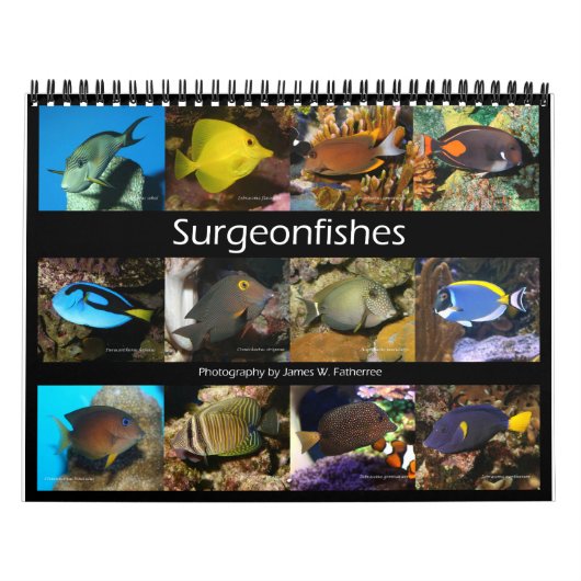 Surgeonfishes Wall Calendar van J.W. Fatherree. Kalender (Hoes)