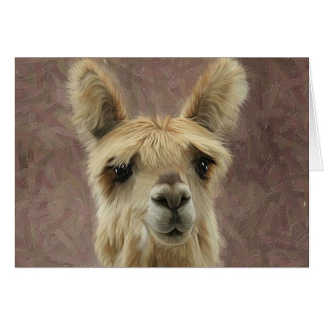 Suri Alpaca (Voorkant Horizontaal)