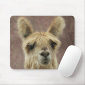 Suri Alpaca Muismat (Met muis)