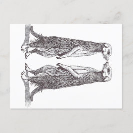 SURICATA LOVE. MEERKAT LOVE. BRIEFKAART